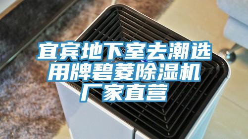 宜宾地下室去潮选用牌碧菱粉色应用黄色软件厂家直营