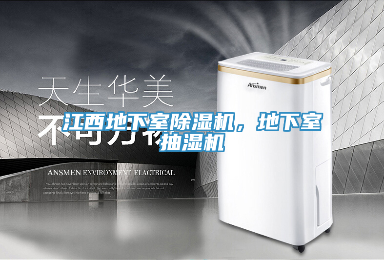 江西地下室粉色应用黄色软件，地下室抽湿机