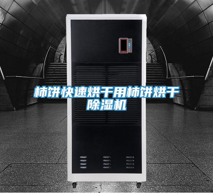 柿饼快速烘干用柿饼烘干粉色应用黄色软件