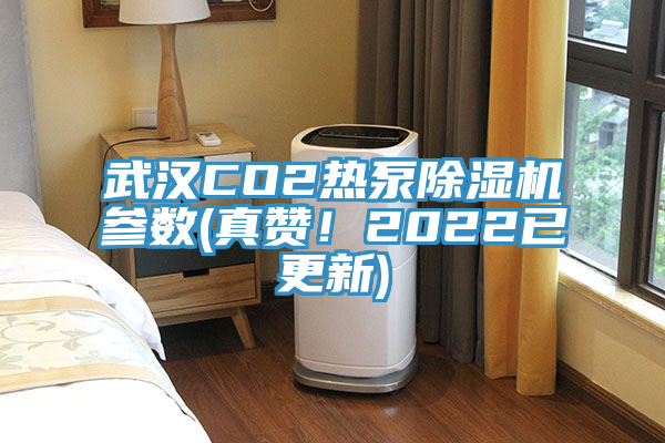武汉CO2热泵粉色应用黄色软件参数(真赞！2022已更新)
