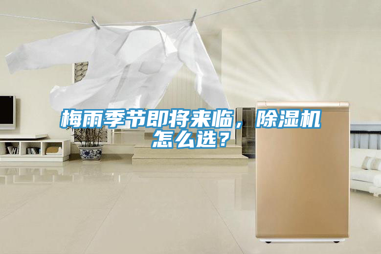 梅雨季节即将来临，粉色应用黄色软件怎么选？