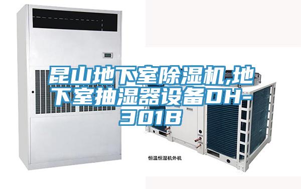 昆山地下室粉色应用黄色软件,地下室抽湿器设备DH-301B