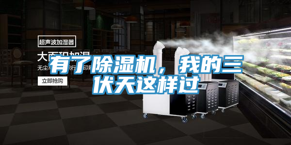 有了粉色应用黄色软件，我的三伏天这样过