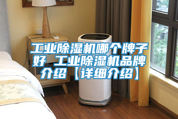 工业粉色应用黄色软件哪个牌子好 工业粉色应用黄色软件品牌介绍【详细介绍】