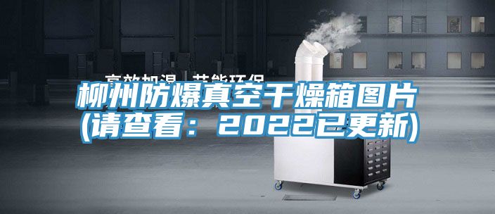 柳州防爆真空干燥箱图片(请查看：2022已更新)