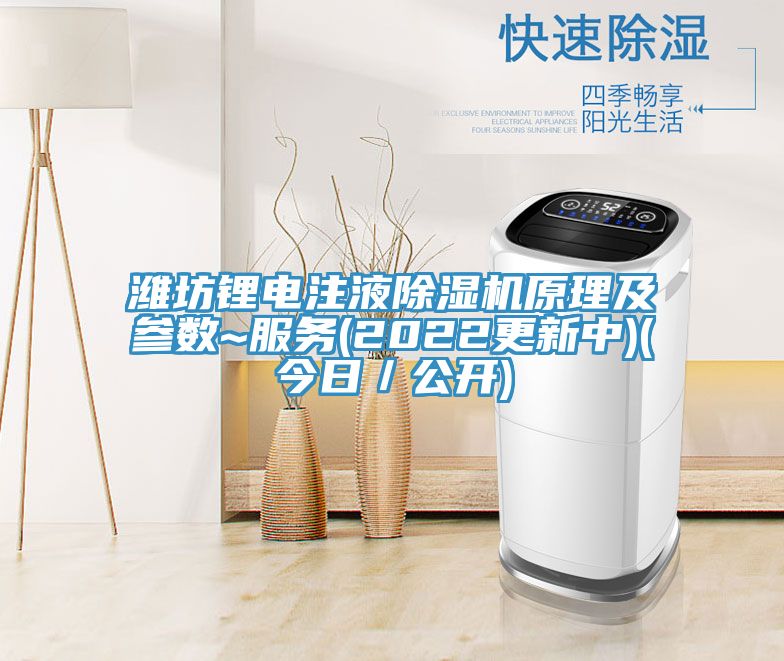 潍坊锂电注液粉色应用黄色软件原理及参数~服务(2022更新中)(今日／公开)