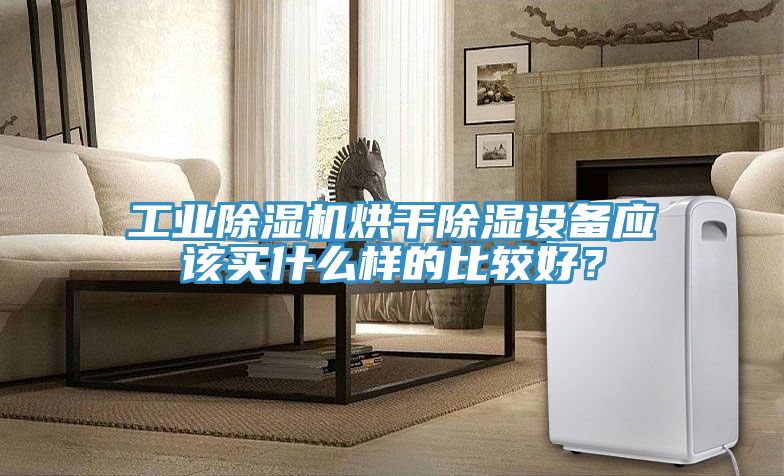 工业粉色应用黄色软件烘干除湿设备应该买什么样的比较好？