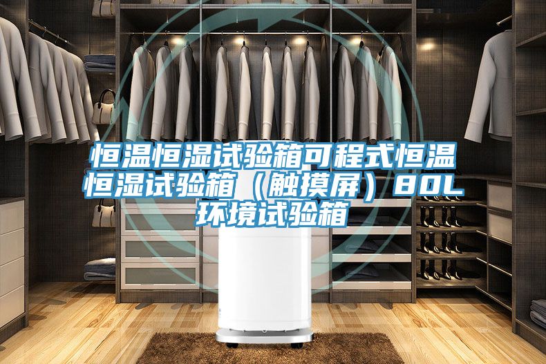 恒温恒湿试验箱可程式恒温恒湿试验箱(触摸屏)80L环境试验箱