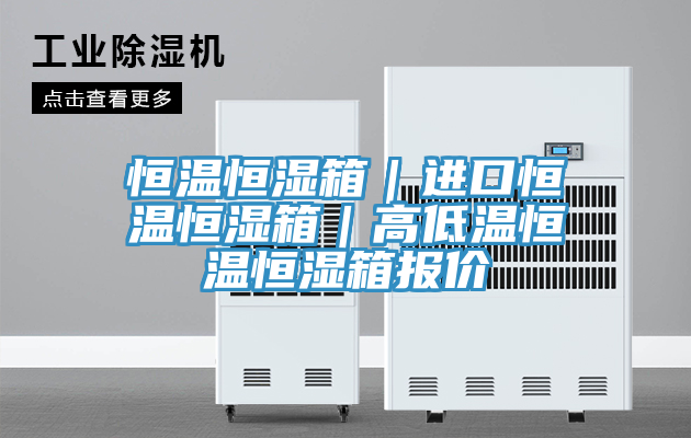 恒温恒湿箱|进口恒温恒湿箱|高低温恒温恒湿箱报价