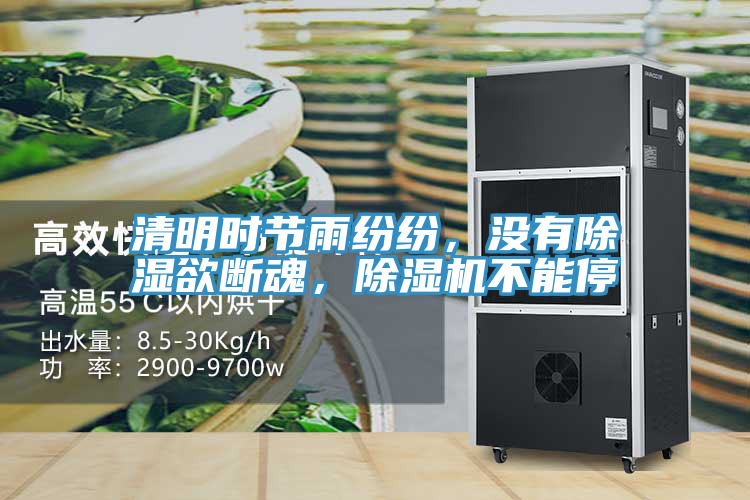 清明时节雨纷纷，没有除湿欲断魂，粉色应用黄色软件不能停