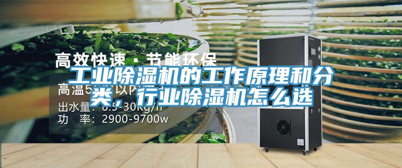 工业粉色应用黄色软件的工作原理和分类，行业粉色应用黄色软件怎么选