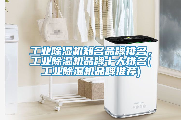 工业粉色应用黄色软件知名品牌排名，工业粉色应用黄色软件品牌十大排名(工业粉色应用黄色软件品牌推荐)