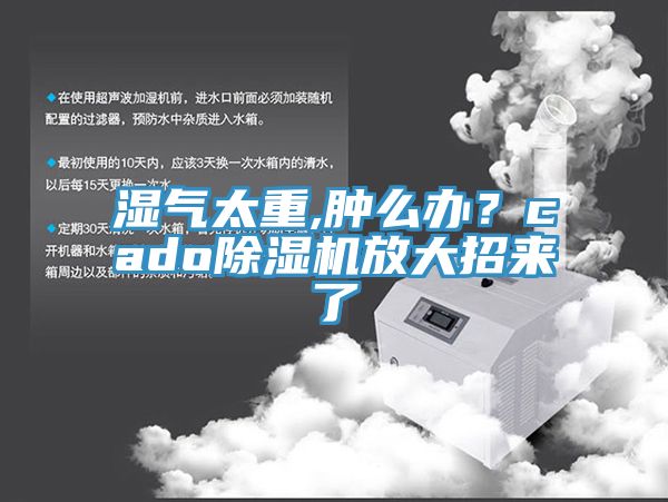 湿气太重,肿么办？cado粉色应用黄色软件放大招来了