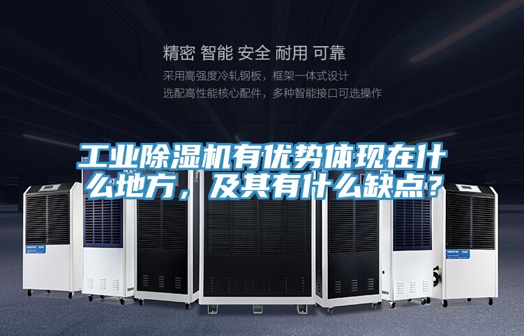 工业粉色应用黄色软件有优势体现在什么地方，及其有什么缺点？