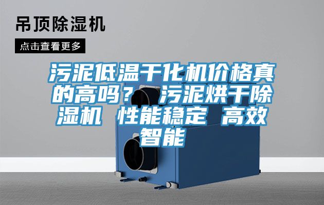 污泥低温干化机价格真的高吗？ 污泥烘干粉色应用黄色软件 性能稳定 高效智能