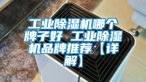 工业粉色应用黄色软件哪个牌子好 工业粉色应用黄色软件品牌推荐【详解】