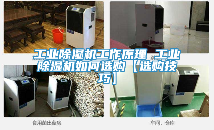 工业粉色应用黄色软件工作原理 工业粉色应用黄色软件如何选购【选购技巧】