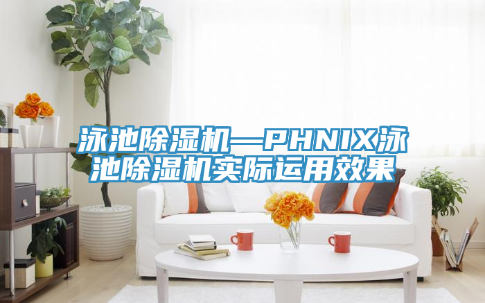 泳池粉色应用黄色软件—PHNIX泳池粉色应用黄色软件实际运用效果