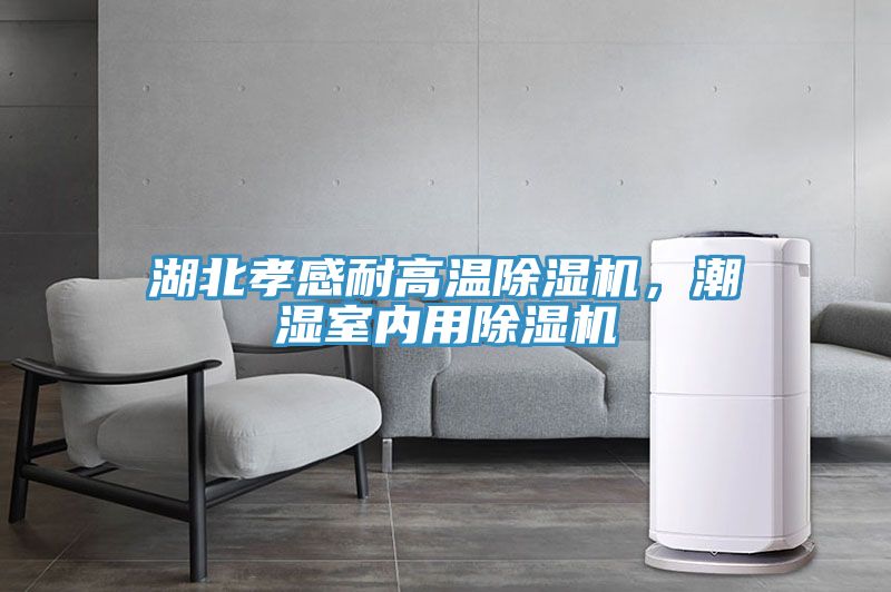 湖北孝感耐高温粉色应用黄色软件，潮湿室内用粉色应用黄色软件