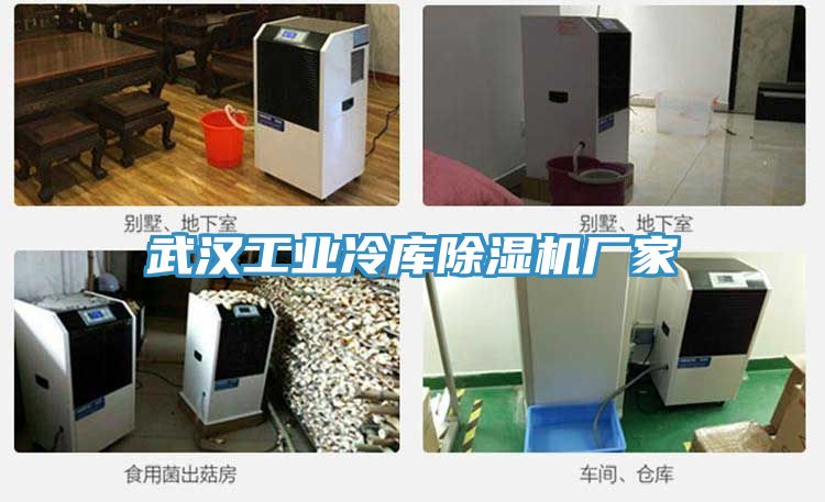 武汉工业冷库粉色应用黄色软件厂家