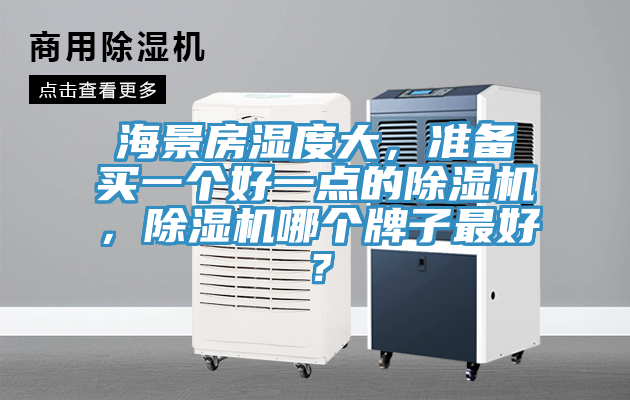 海景房湿度大，准备买一个好一点的粉色应用黄色软件，粉色应用黄色软件哪个牌子最好？