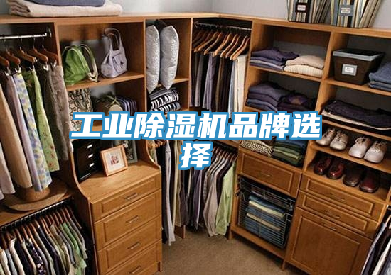 工业粉色应用黄色软件品牌选择