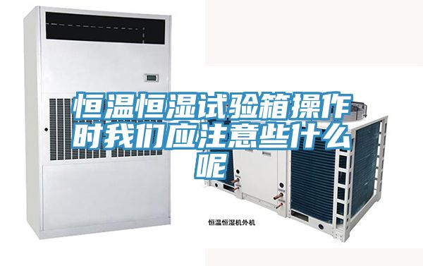 恒温恒湿试验箱操作时粉色视频污下载应注意些什么呢