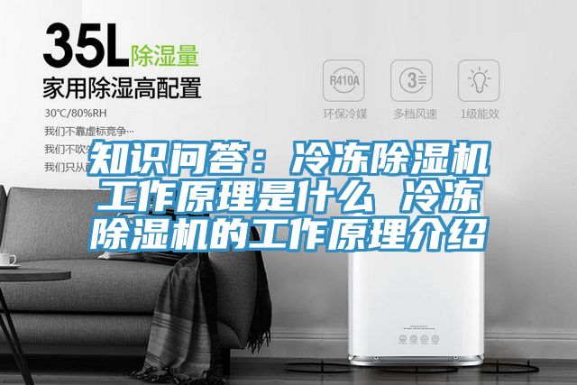 知识问答：冷冻粉色应用黄色软件工作原理是什么 冷冻粉色应用黄色软件的工作原理介绍