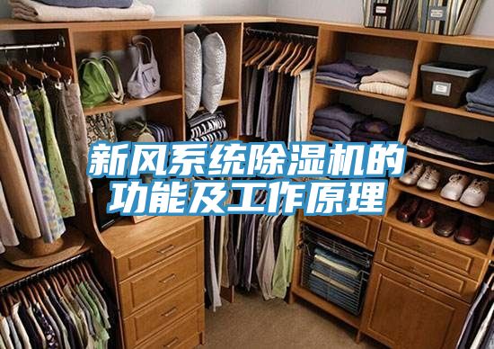 新风系统粉色应用黄色软件的功能及工作原理