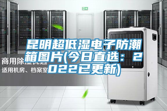 昆明超低湿电子防潮箱图片(今日直选：2022已更新)