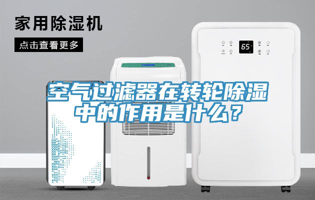 空气过滤器在转轮除湿中的作用是什么？