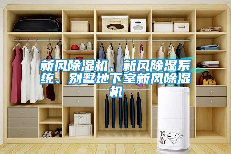 新风粉色应用黄色软件、新风除湿系统、别墅地下室新风粉色应用黄色软件