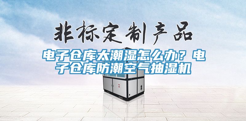 电子仓库太潮湿怎么办？电子仓库防潮空气抽湿机
