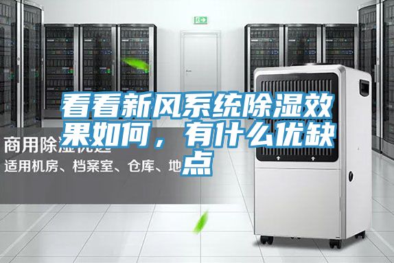 看看新风系统除湿效果如何，有什么优缺点