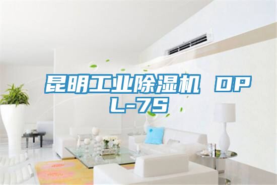 昆明工业粉色应用黄色软件 DPL-7S