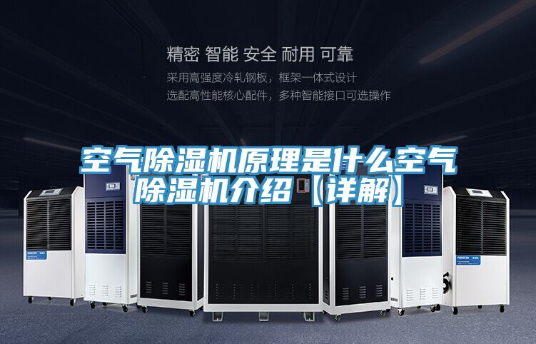 空气粉色应用黄色软件原理是什么空气粉色应用黄色软件介绍【详解】