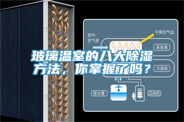 玻璃温室的八大除湿方法，你掌握了吗？