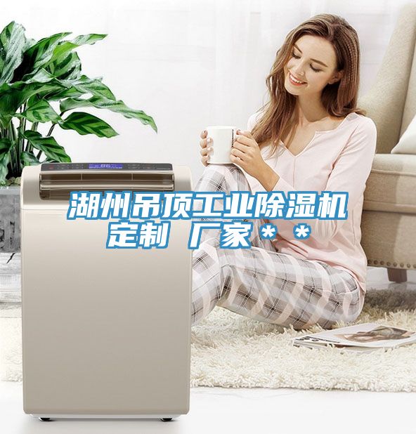 湖州吊顶工业粉色应用黄色软件定制 厂家**