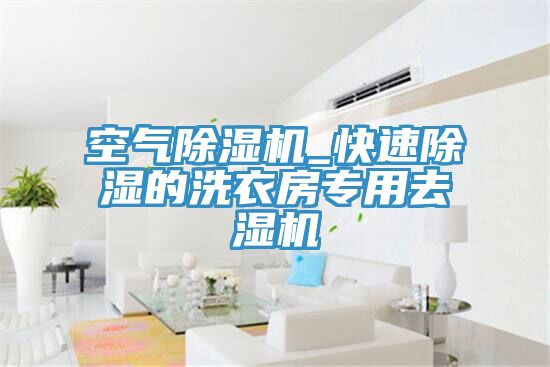 空气粉色应用黄色软件_快速除湿的洗衣房专用去湿机