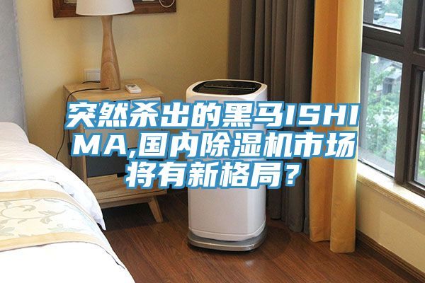 突然杀出的黑马ISHIMA,国内粉色应用黄色软件市场将有新格局？