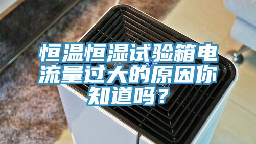 恒温恒湿试验箱电流量过大的原因你知道吗？
