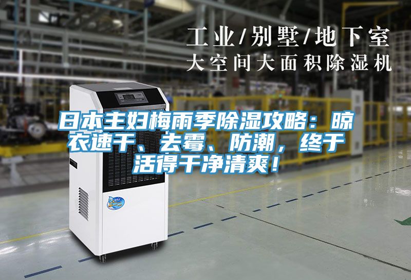 日本主妇梅雨季除湿攻略：晾衣速干、去霉、防潮，终于活得干净清爽！