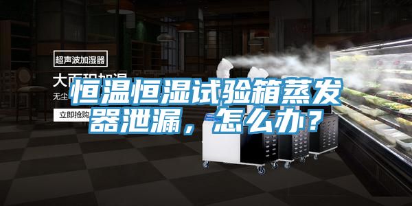 恒温恒湿试验箱蒸发器泄漏，怎么办？