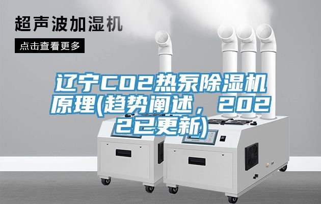 辽宁CO2热泵粉色应用黄色软件原理(趋势阐述，2022已更新)
