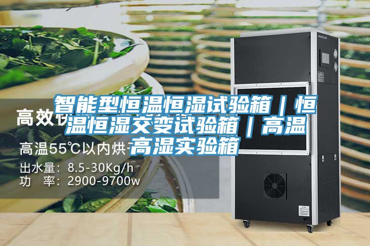 智能型恒温恒湿试验箱|恒温恒湿交变试验箱|高温高湿实验箱