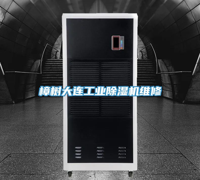 樟树大连工业粉色应用黄色软件维修