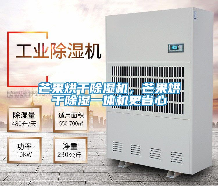 芒果烘干粉色应用黄色软件，芒果烘干除湿一体机更省心