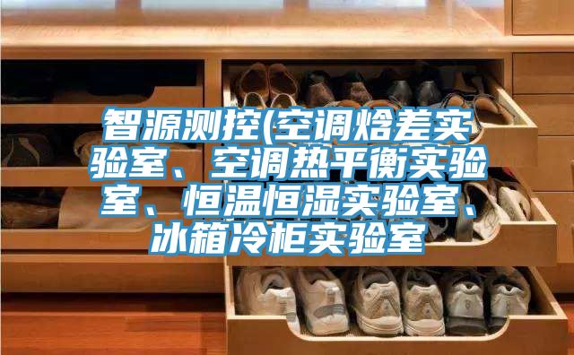 智源测控(空调焓差实验室、空调热平衡实验室、恒温恒湿实验室、冰箱冷柜实验室