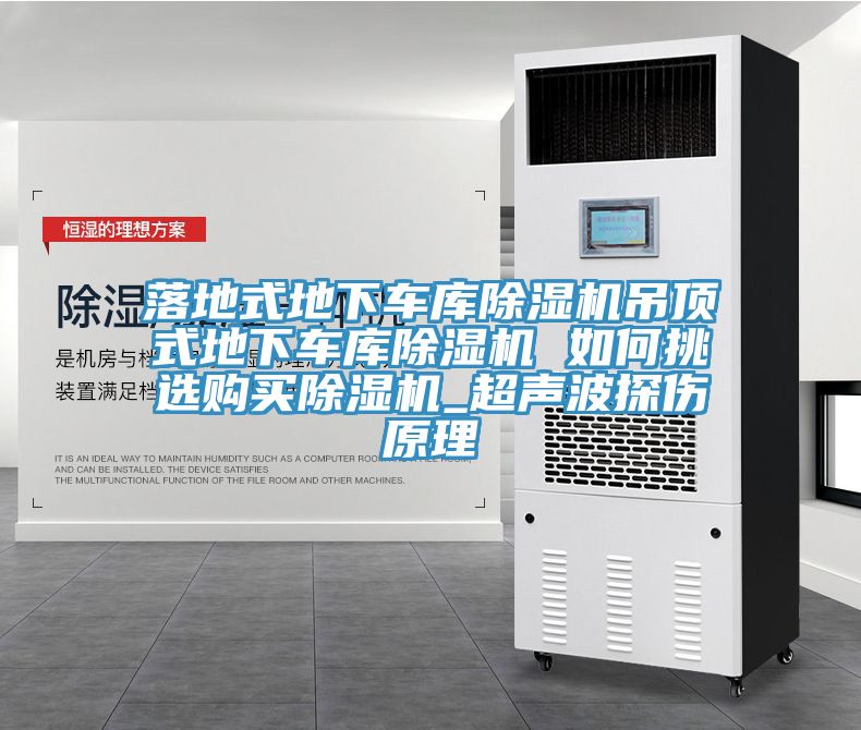 落地式地下车库粉色应用黄色软件吊顶式地下车库粉色应用黄色软件 如何挑选购买粉色应用黄色软件_超声波探伤原理