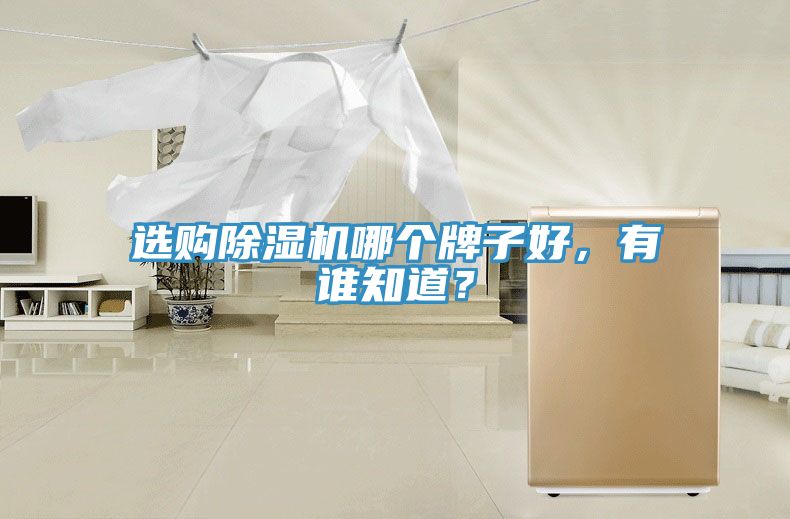 选购粉色应用黄色软件哪个牌子好，有谁知道？